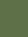 CACTUS - QD51