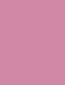 FUCHSIA FLOWER - PL360