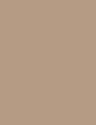RICH LIFE - PL451