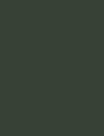 KHAKI GREEN - 453