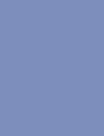 COOKIE MONSTER - 465