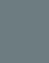 STYLISH - 524