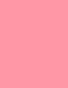 FLORMAR PINK - 054
