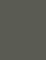 OLIVE GLAM - 007