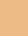 HONEY BEIGE - 034