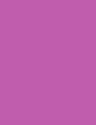 LAVENDER GARDEN - 014