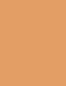 SOFT BEIGE - 005