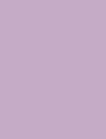 TENDER LILAC - JL19