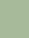 PETITE MINT - FC23