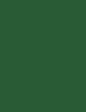 FOREST - 561