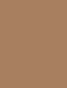 LIGHT BROWN - 002