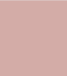CHAMPAGNE BLUSH - PL475